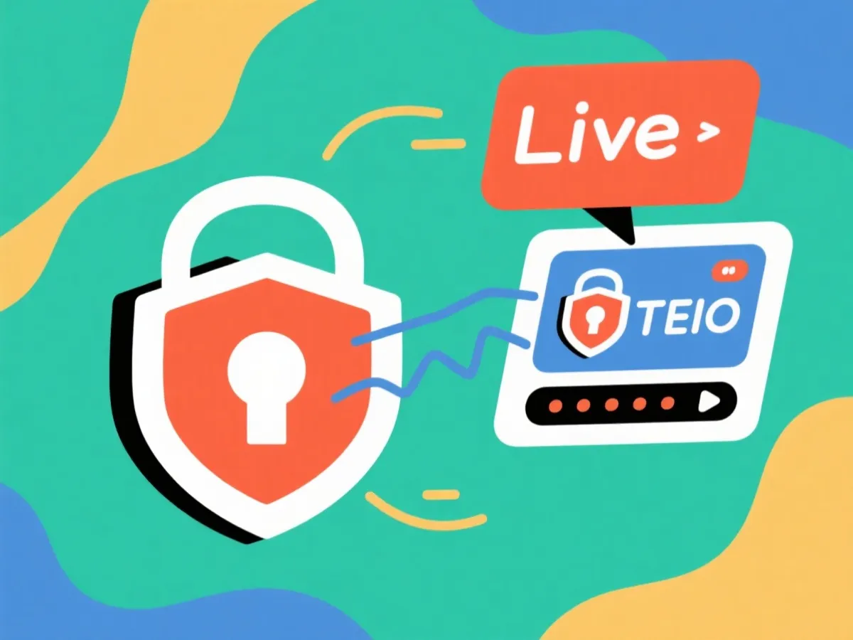 安全与合规说明